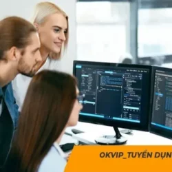 Unlock Business Growth with OKVIP IT Staff
